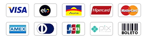 Ícones de formas de pagamento aceitas: Visa, Elo, Aura, Hipercard, Mastercard, American Express, Diners Club, JCB, Pix e Boleto Bancário.